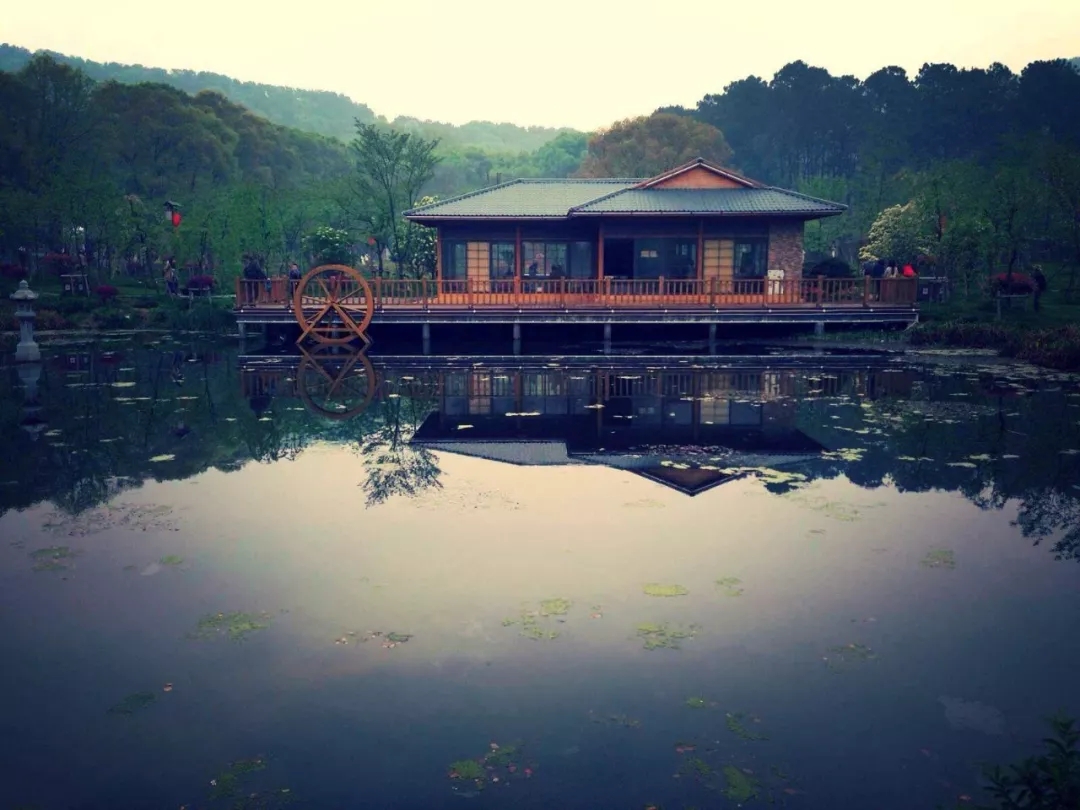 清明雨上钢琴谱 十年许嵩，他活成了自己想要的模样6