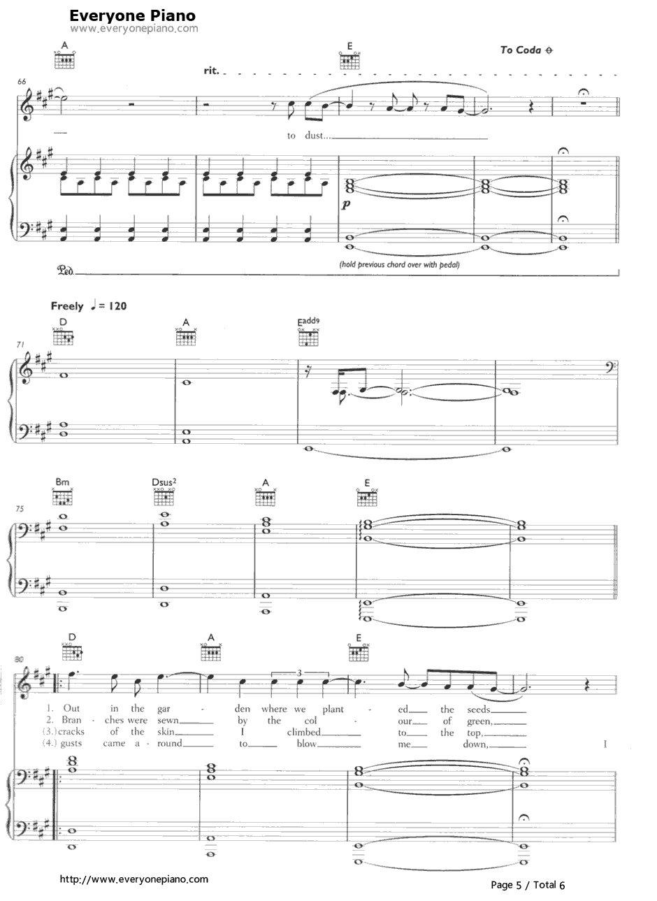 To Build a Home钢琴谱-TheCinematicOrchestra5