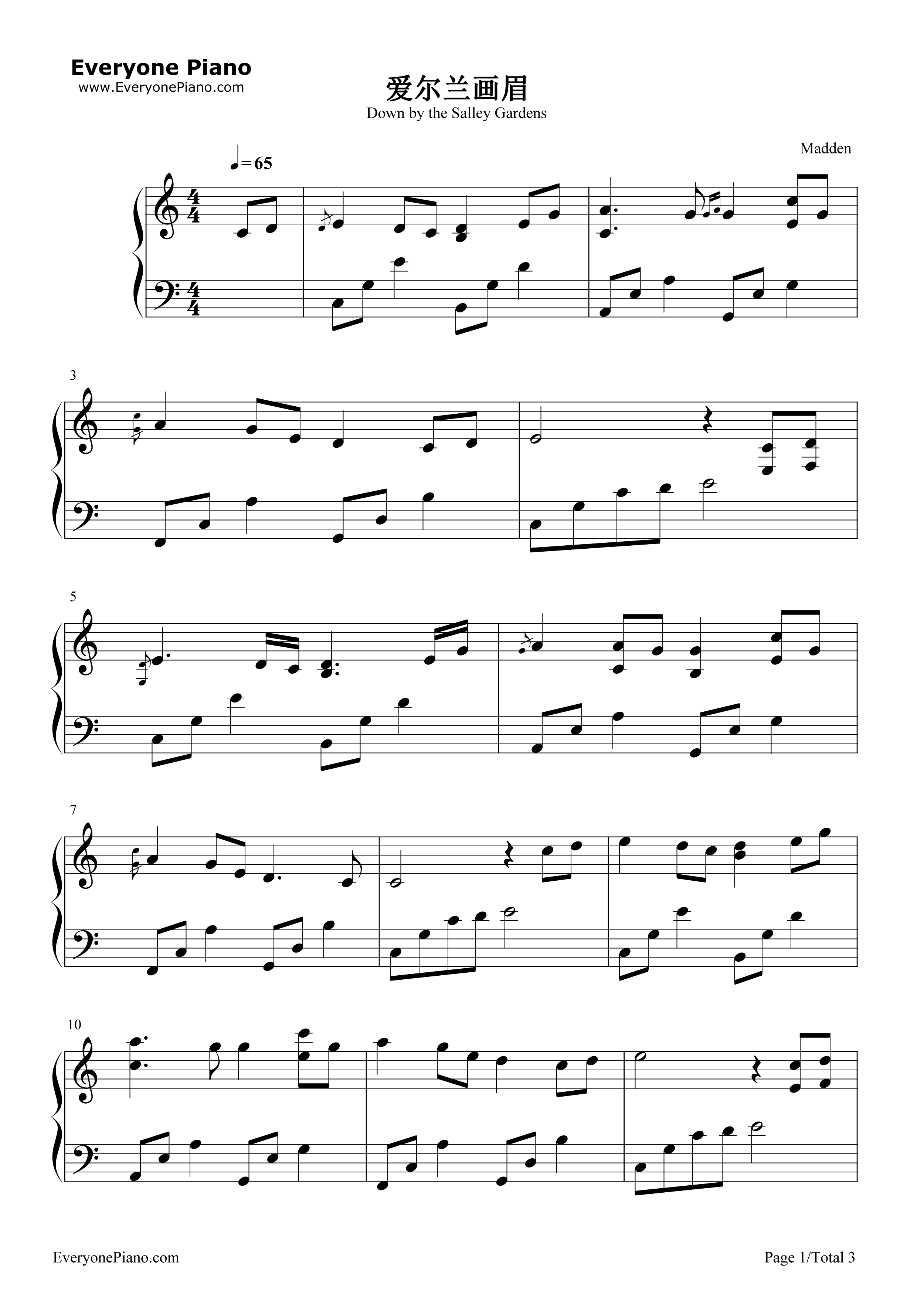 爱尔兰画眉（漫步神秘园）钢琴谱-Joanie Madden1