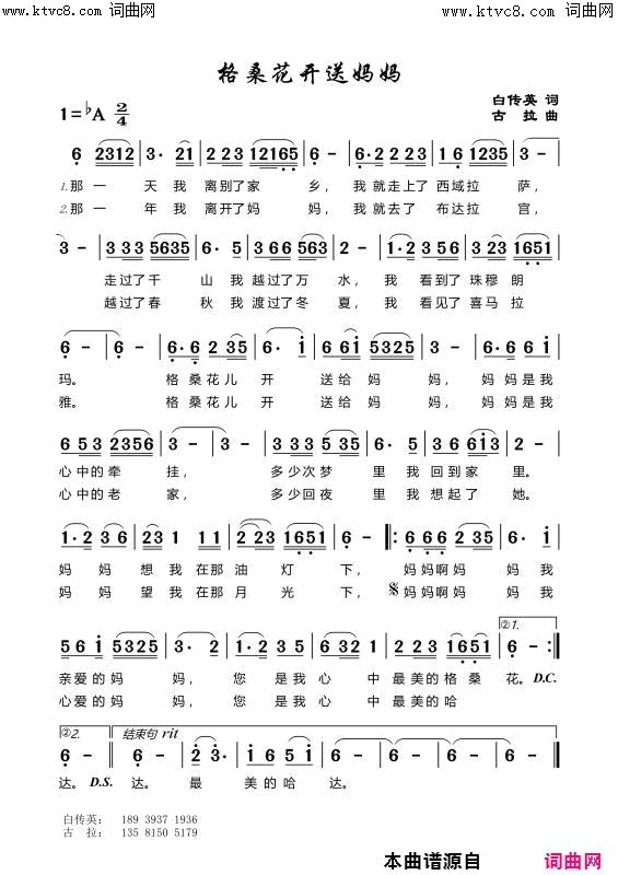 格桑花来送妈妈简谱1