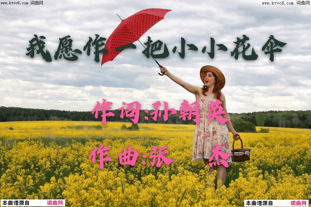 我愿作一把小小花伞简谱1