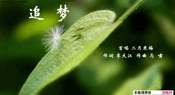 3524《追梦》简谱-二月寒梅演唱-李大江/马啸词曲1