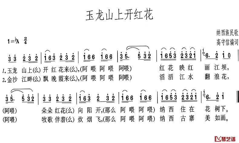 玉龙山上开红花简谱-高守信编词1