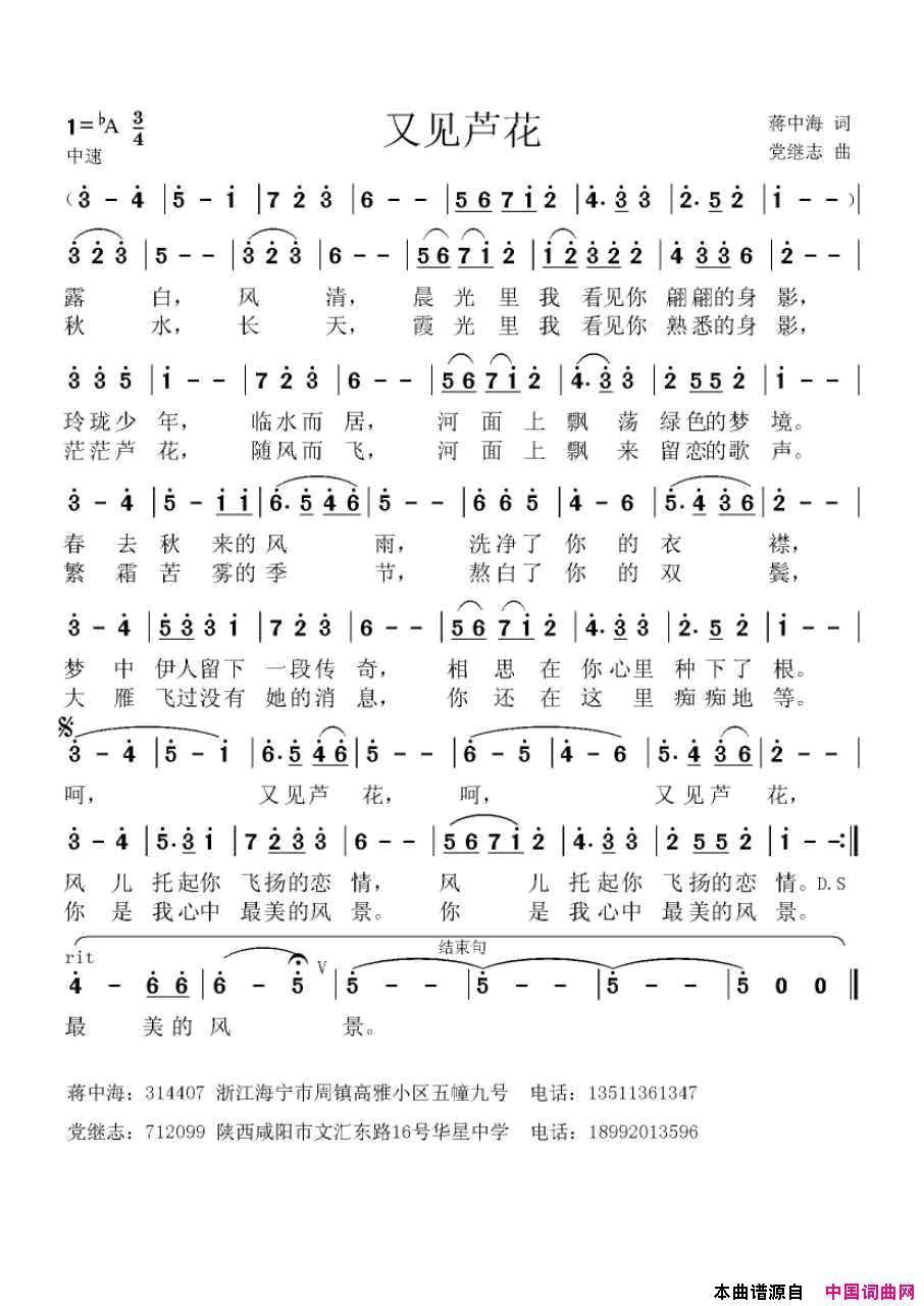 又见芦花简谱1