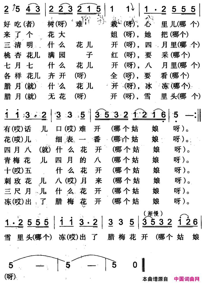 猜花伊犁回族民歌简谱1