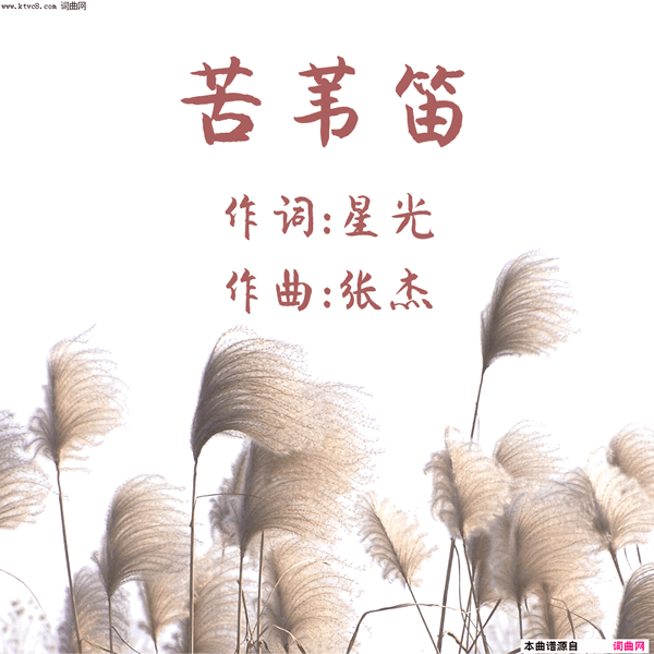 苦苇笛简谱1