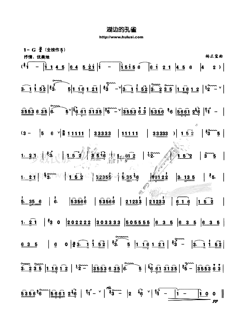 湖边的孔雀简谱1