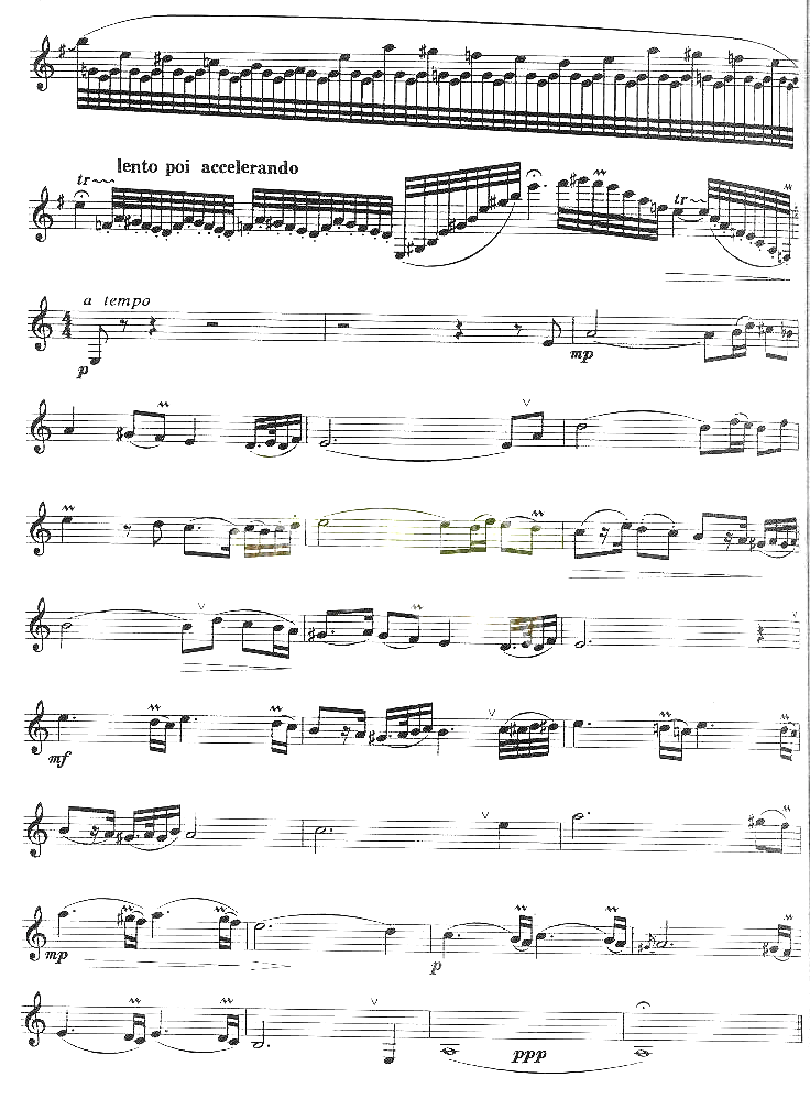 帕米尔之音协奏曲第一乐章简谱1