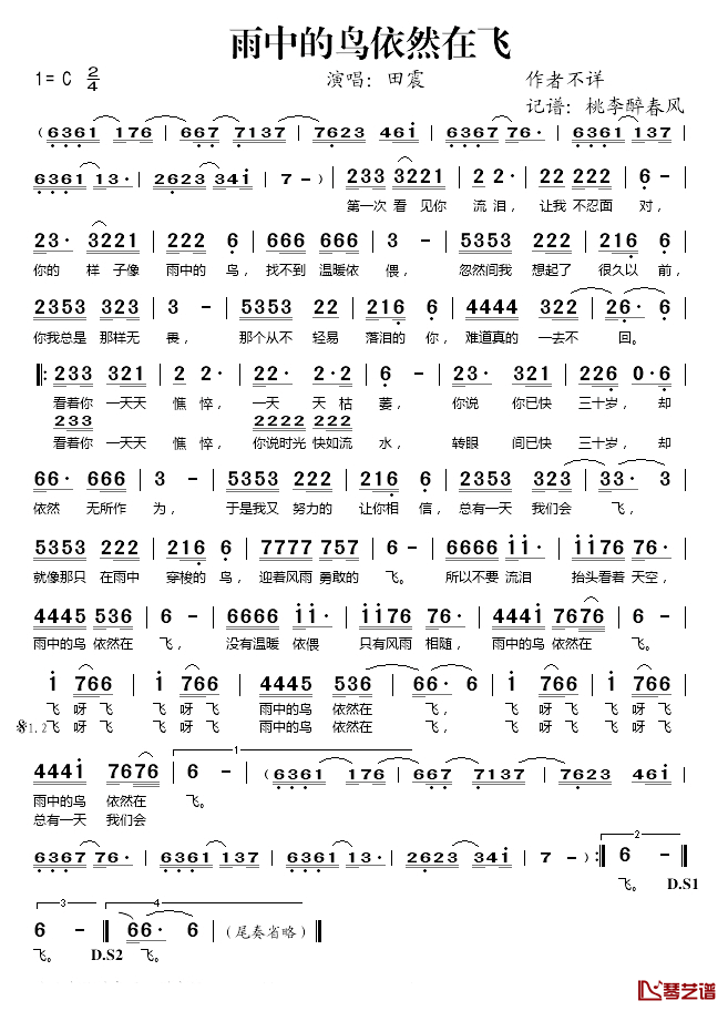 雨中的鸟依然在飞简谱(歌词)-田震演唱-桃李醉春风记谱1
