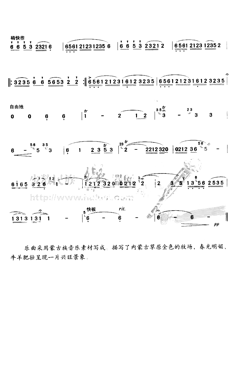 金色的牧场简谱1