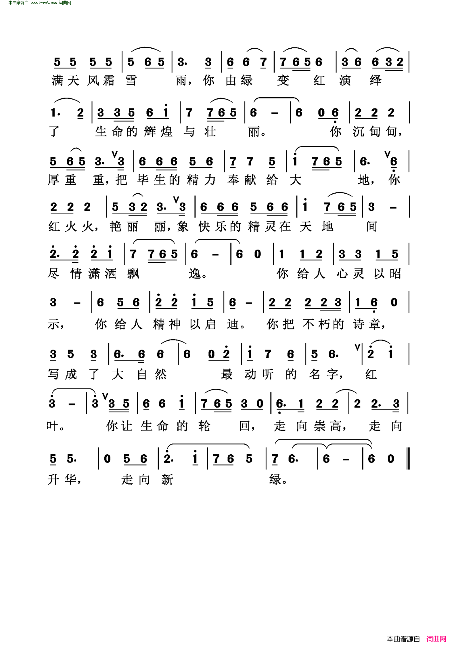 红叶之歌简谱1