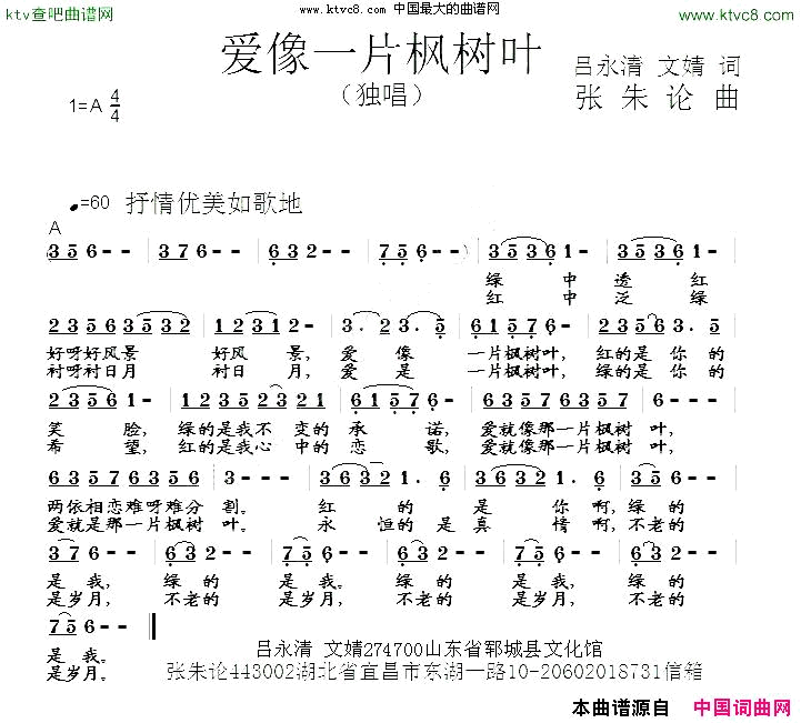 爱像一片枫树叶简谱1