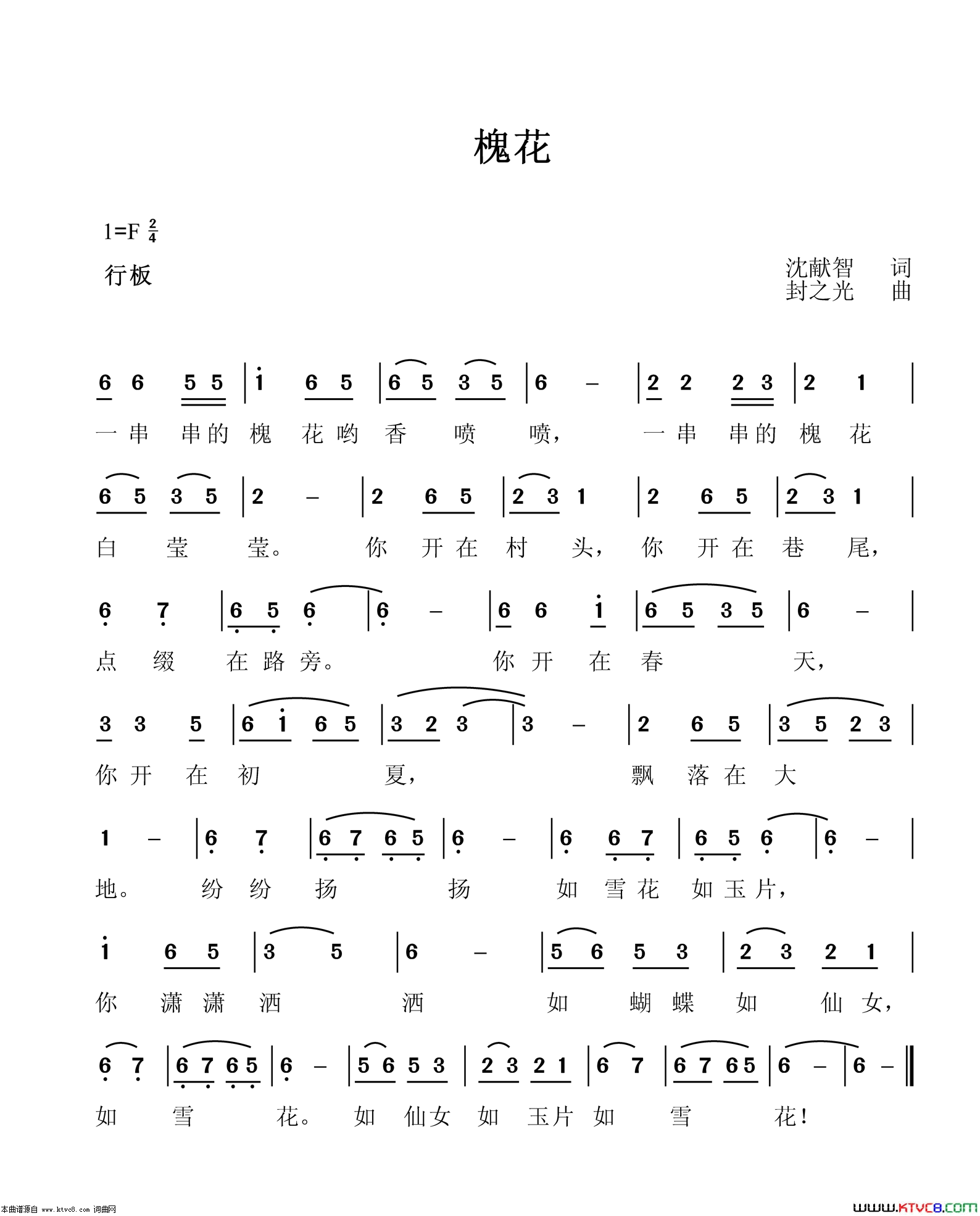 槐花简谱1