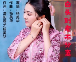 白头到老不分离简谱(歌词)-杨美华歌曲-沈公宝曲谱