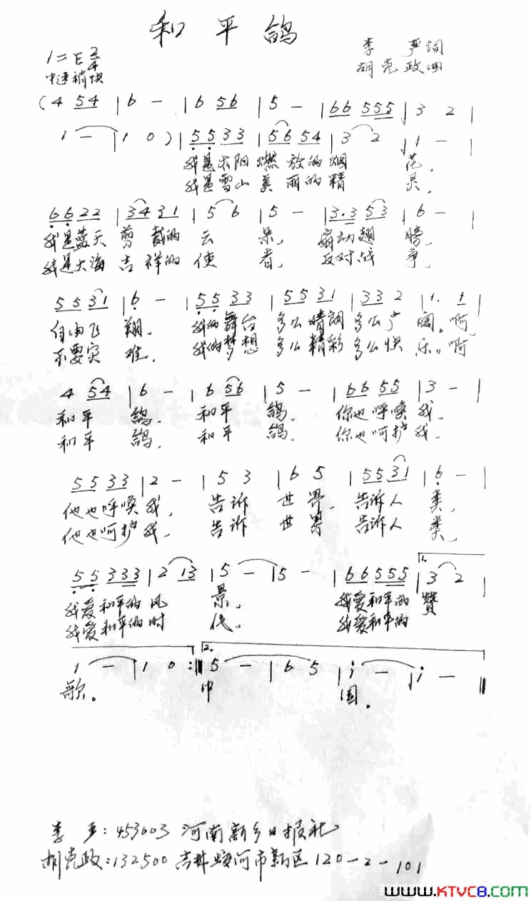 和平鸽简谱1