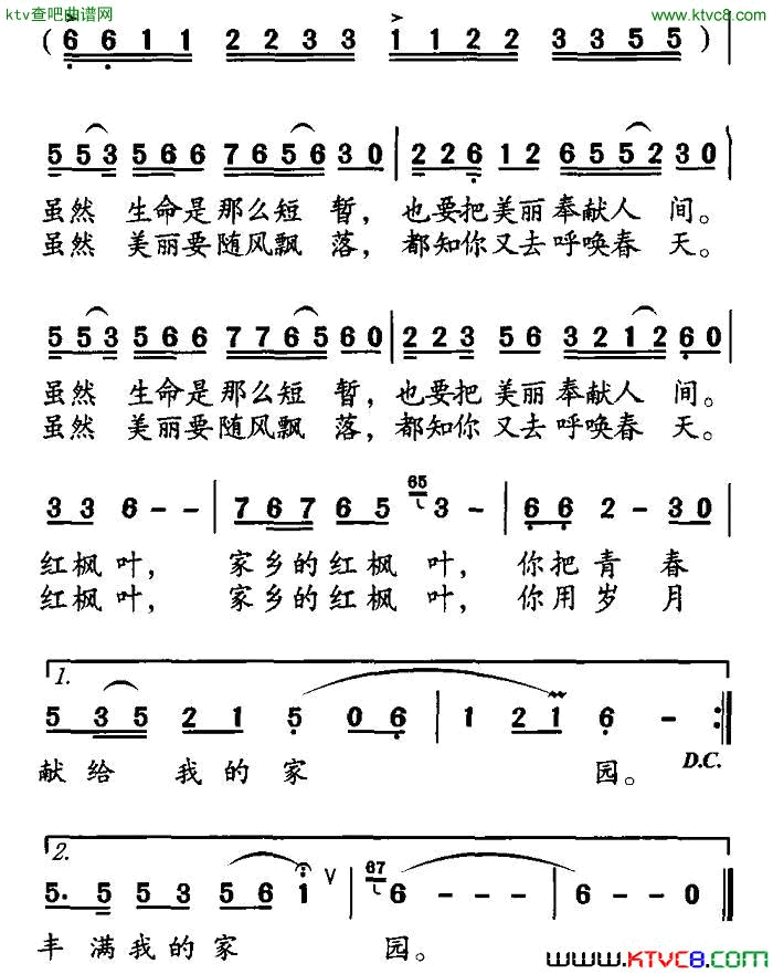 家乡的枫叶简谱1