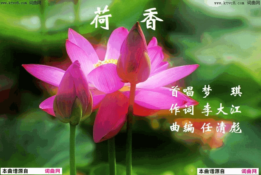 荷香任清彪曲简谱-梦琪演唱-李大江/任清彪词曲1