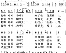 葡萄叶叶青简谱