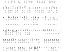 天佑武汉简谱-黑天鹅组合演唱-陈帆、颂今/颂今词曲