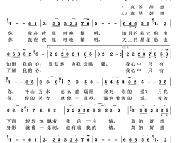 真的好想你歌声飘过四十年简谱