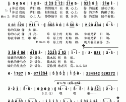 你是我的萨日朗简谱(歌词)-赵斌演唱-秋叶起舞记谱上传