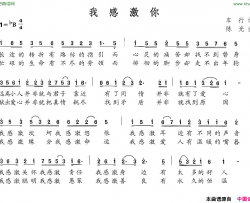 我感激你简谱