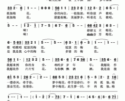 不再孤独，梅花简谱