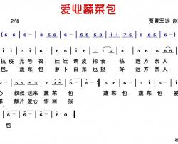 爱心蔬菜包简谱-贾累军曲谱