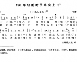 年轻的时节草尖上飞简谱-