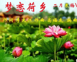 梦恋荷乡二月寒梅 vs 歆童简谱-二月寒梅、歆童演唱-李大江/高福友词曲