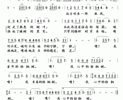 梧桐树简谱-杨曙光演唱-杨展业/奚其明词曲
