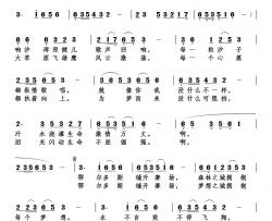 为梦飞翔简谱