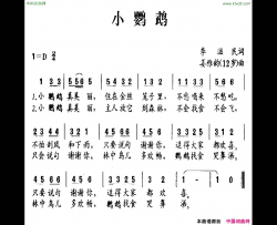 小鹦鹉李滋民词姜雅韵12岁曲简谱
