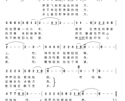 梦里的地方简谱-薛冰演唱