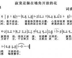 寂寞是躲在墙角开放的花简谱-洪昌词/洪昌曲