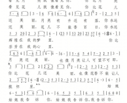 今生我要追上你简谱