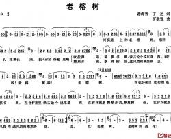 老榕树简谱-谢海青 丁达词 罗联强曲