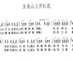 玉龙山上开红花简谱-高守信编词