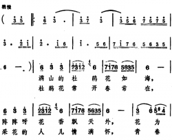 啊！杜鹃花呀简谱-李谷一演唱-科教片《四川杜鹃花》插曲