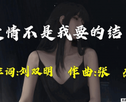 爱情不是我要的结果简谱