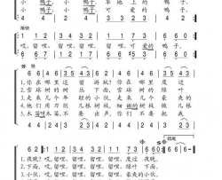 草地上的鸭子简谱