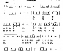 母亲的情怀电视片《敬礼，妈妈》主题歌简谱