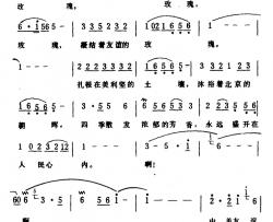 啊！玫瑰，和平玫瑰 简谱-石祥词/生茂曲