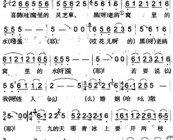 喜鹊窝里的灵芝草简谱-吉木萨尔回族民歌马学亮-