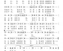 又见芦花简谱
