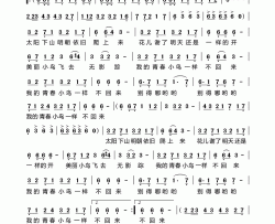 青春舞曲简谱-王雪晶演唱-王洛宾/王洛宾词曲