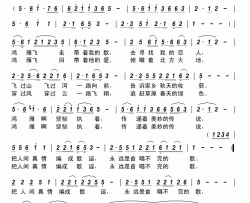 鸿雁传情简谱-杨胡日琪吐演唱-李旭飞/谢鹏飞词曲