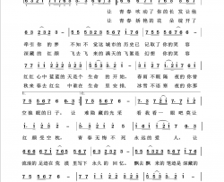 追梦人回声嘹亮2019简谱