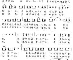 看得见你，看不清你简谱-刘志毅词/井维玲曲