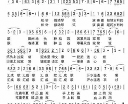 无怨无悔一首歌简谱